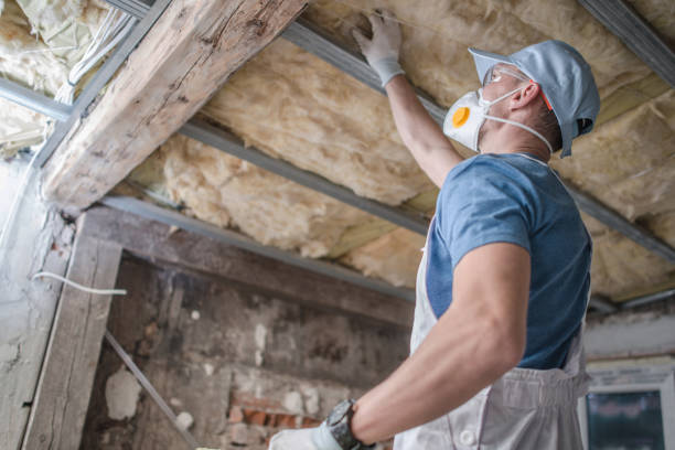 Best Insulation for Specific Applications in Auburn, IN